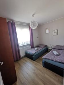 a bedroom with two beds and a window at Milusi Domek in Łagów