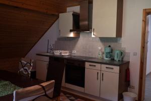 Kuchnia lub aneks kuchenny w obiekcie Appartement Haus Kruschitz II