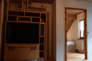 salon z telewizorem i półką na książki w obiekcie Appartement Haus Kruschitz II w mieście Ludmannsdorf