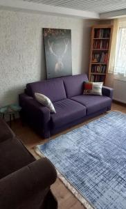 sala de estar con sofá púrpura y alfombra azul en FeWo Heidenheim Bluewall, en Heidenheim an der Brenz