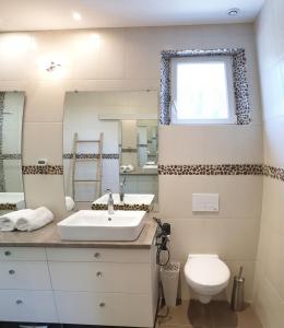 ein Badezimmer mit einem Waschbecken, einem WC und einem Spiegel in der Unterkunft les Box in Figeac