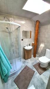 uma casa de banho com um chuveiro, um WC e um lavatório. em Noclegi u Eli Zator Energylandia em Zator