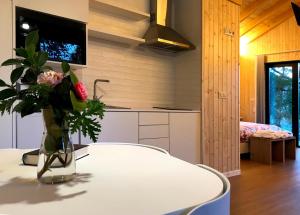 TV a/nebo společenská místnost v ubytování Complejo Turístico Rural A TORRE DE LAXE