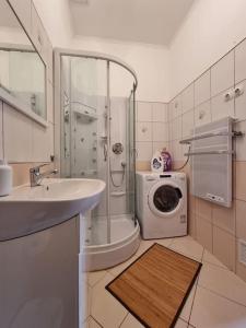 y baño con lavabo y lavadora. en Vintage Apartman in city center, en Miskolc