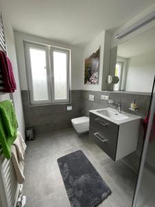 W łazience znajduje się umywalka, toaleta i lustro. w obiekcie Neues Ferienhaus w mieście Kurort Gohrisch