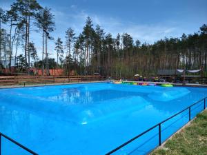 a large blue swimming pool with trees in the background at Kaszëbsko Nórcëk 2 in Załakowo