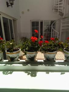 Fotografia z galérie ubytovania Casa Alba 1 v destinácii Puerto del Rosario
