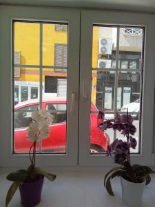Fotografia z galérie ubytovania Casa Alba 1 v destinácii Puerto del Rosario