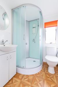 a bathroom with a shower with a toilet and a sink at Atokaita in Palanga +34 photos