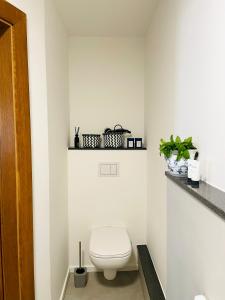 a white bathroom with a toilet and a shelf at Ferienwohnung am Elberadweg in Meißen