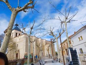 a street with trees in front of a building at Casa Luzon, terraza-solarium con ducha y salon rustico in Villarejo de Salvanés