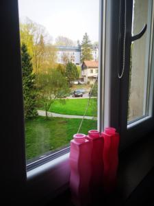 Fotografia z galérie ubytovania Wisienka v destinácii Duszniki-Zdrój