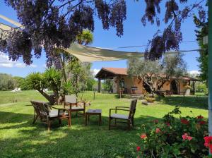 Zahrada ubytování Agriturismo Bio Pian Dei Casali