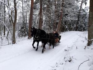 Zdjęcie z galerii obiektu Agroturystyka OLZOJA w mieście Posejnele