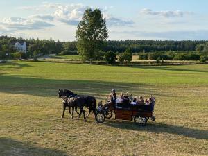 Zdjęcie z galerii obiektu Agroturystyka OLZOJA w mieście Posejnele