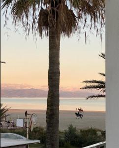 カリアリにあるLuxury Poetto Apartmentsのギャラリーの写真