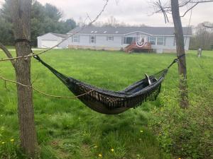 a hammock hanging from a tree in a yard at Spring Time ! Cozy Getaway Cottage Pet Friendly Place in Cairo