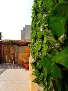 Jardín al aire libre en Dream House Fiumicino