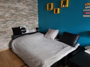 a bed with black and white pillows in a room at Au Saint Timothée près Caves Champagne in Reims