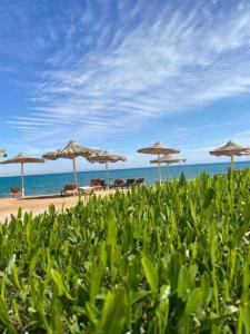 un grupo de sombrillas en una playa con el océano en Fanar Hotel, en Ain Sokhna