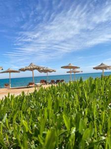 a group of umbrellas on a beach with the ocean at Fanar Hotel in Ain Sokhna