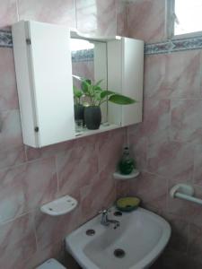 a bathroom with a sink and a mirror and a toilet at Monoambiente de la Costa in Victoria