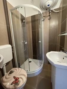 a bathroom with a shower and a toilet and a sink at Pisztráng17 Apartman in Gárdony