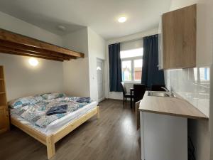 a small bedroom with a bed and a kitchen at Pisztráng17 Apartman in Gárdony +8 photos