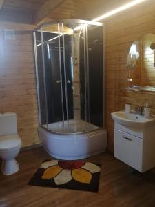 a bathroom with a shower and a toilet and a sink at Domek letniskowy in Świnoujście