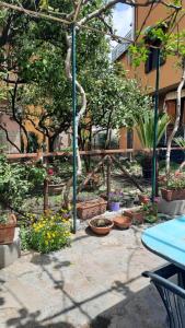 A garden outside Il Gelso