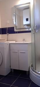 Koupelna v ubytování Apartments Suco
