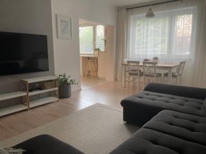 sala de estar con sofá, TV y mesa en Family Provence Mikulov en Mikulov