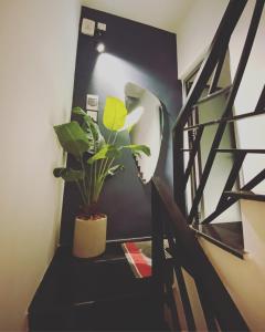 Fotografie z fotogalerie ubytování LILY HOUSE( Mini home 2PN) v destinaci Quy Nhon + 25 fotografií