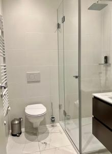 a bathroom with a toilet and a glass shower at Luxury Apartment in Central Geneva in Geneva