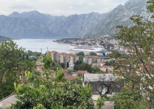 Blick auf eine Stadt und ein Kreuzfahrtschiff im Wasser in der Unterkunft Apartman Savo in Kotor