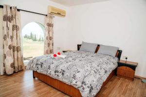a bedroom with a bed and a window at Crystal Bay View Apartment in Kalogrea