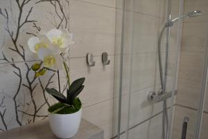Kúpeľňa v ubytovaní Apartament Justynka + 19 fotografií