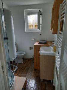 La petite salle de bains est pourvue d'un lavabo et de toilettes. dans l'établissement Maison de pêcheur à 2 pas de la mer (200m), à Bretignolles-sur-Mer