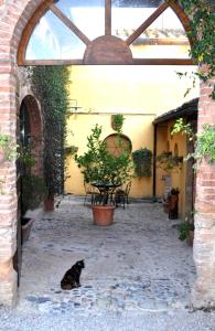 a black cat sitting on the ground in a courtyard at Agriturismo Renaccino in Siena