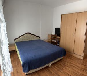 a bedroom with a bed and a cabinet and a desk at Apartman Savo in Kotor