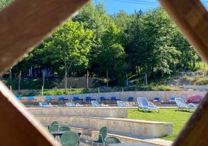 eine Gruppe von Stühlen auf dem Rasen in einem Hof in der Unterkunft Camping Village la Verna in Chiusi della Verna