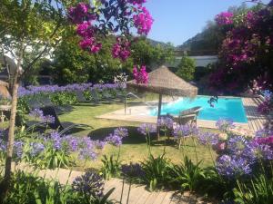 a garden with purple flowers and a swimming pool at Mesón de Sancho in Tarifa