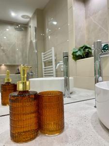 Baño con 2 botellas de jabón y lavamanos en MM Greenhouse Appartement / Tourcoing - Lille, en Tourcoing