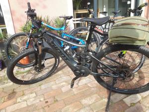 Jazda na bicykli v okolí ubytovania Willa Park Międzyzdroje