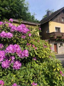 Jardín al aire libre en Winzerhäuschen Kern