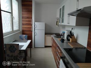 Kuchyňa alebo kuchynka v ubytovaní Apartmán s vířivkou a infrasaunou v Olomouci