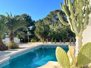 a swimming pool with a cactus and palm trees at Can Brilla in Sant Francesc Xavier