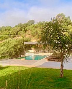 a swimming pool with a palm tree in a yard at Casa Costa Suites in Kanali