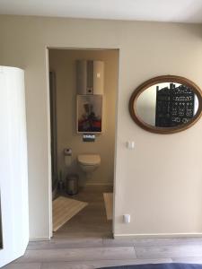 a bathroom with a toilet and a mirror at Jytte`s Annex in Kerteminde