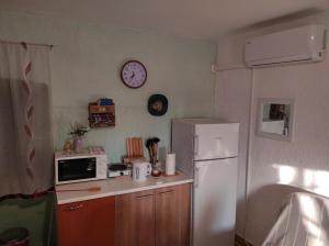 eine Küche mit einem weißen Kühlschrank und einer Mikrowelle in der Unterkunft Maja Apartment in Višnjan